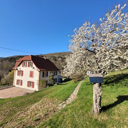 Domaine De La Charriere Sur 63 Ares - 8 Pers Grand Confort Villa Neuviller Bagian luar foto
