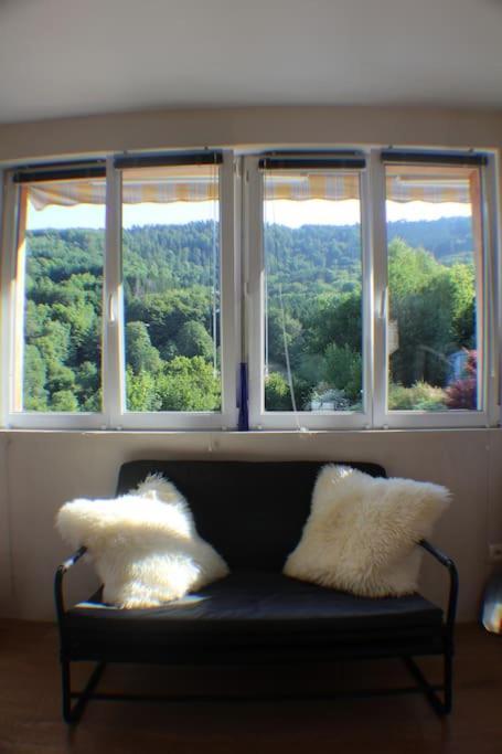 Domaine De La Charriere Sur 63 Ares - 8 Pers Grand Confort Villa Neuviller Bagian luar foto