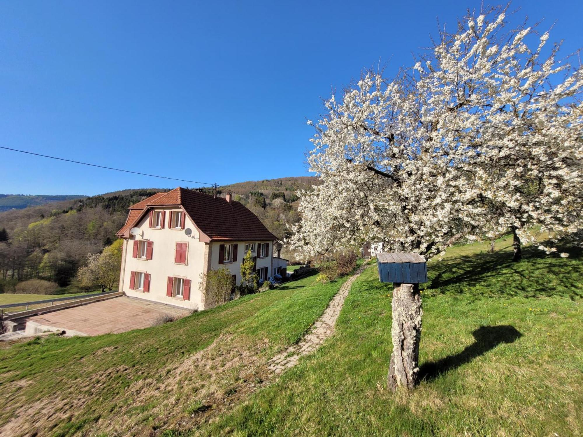 Domaine De La Charriere Sur 63 Ares - 8 Pers Grand Confort Villa Neuviller Bagian luar foto