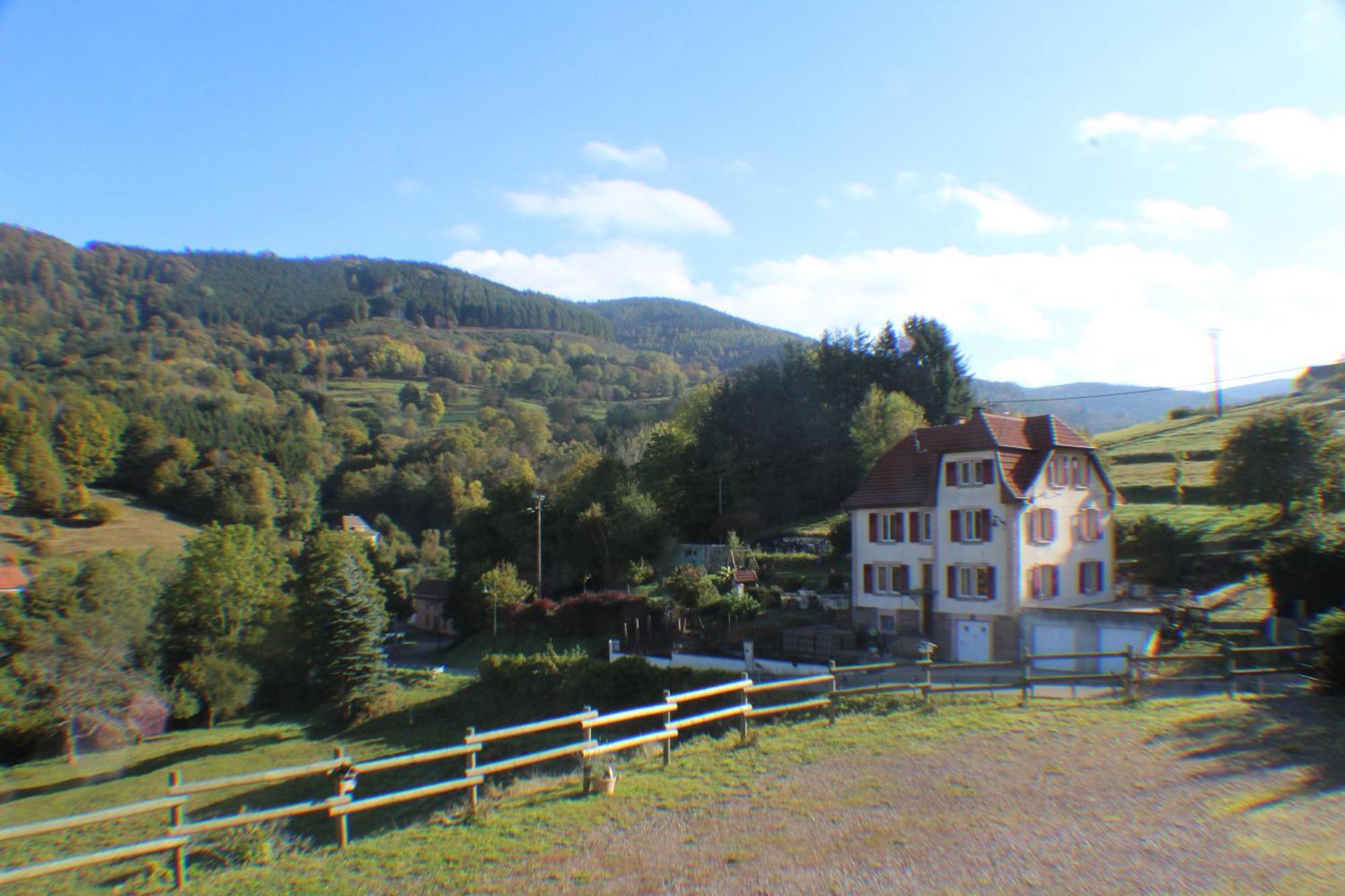 Domaine De La Charriere Sur 63 Ares - 8 Pers Grand Confort Villa Neuviller Bagian luar foto